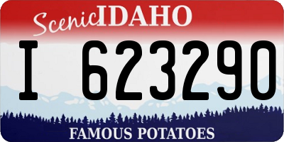 ID license plate I623290