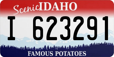 ID license plate I623291