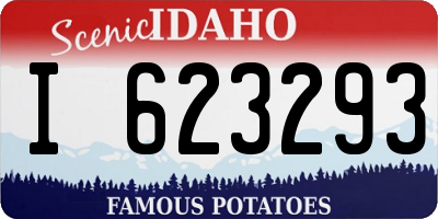 ID license plate I623293