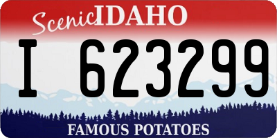 ID license plate I623299