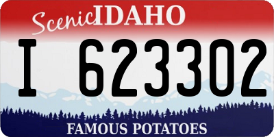 ID license plate I623302