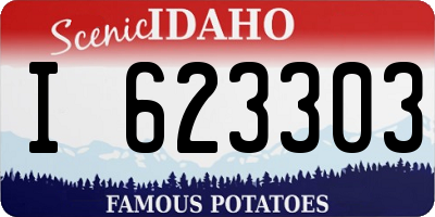ID license plate I623303