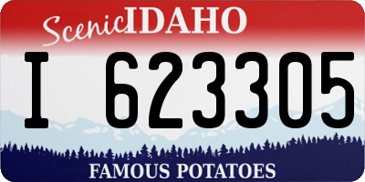 ID license plate I623305