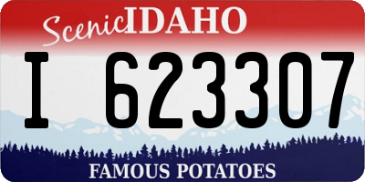 ID license plate I623307