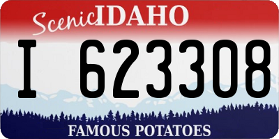 ID license plate I623308