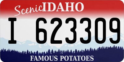 ID license plate I623309