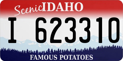 ID license plate I623310