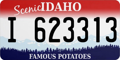ID license plate I623313