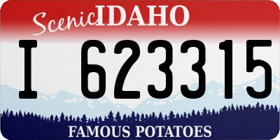 ID license plate I623315