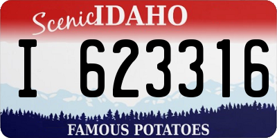 ID license plate I623316