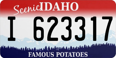 ID license plate I623317