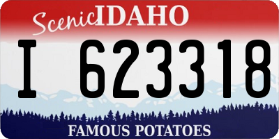 ID license plate I623318