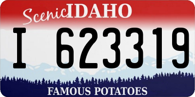 ID license plate I623319