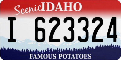 ID license plate I623324