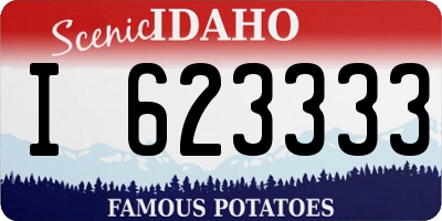 ID license plate I623333