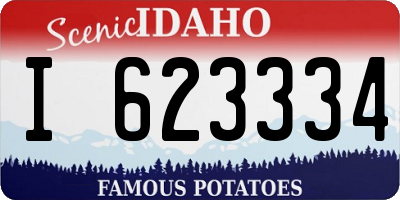ID license plate I623334