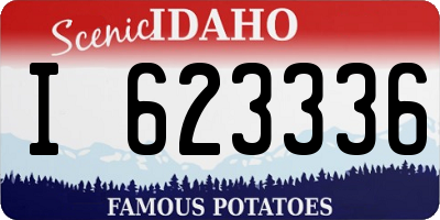ID license plate I623336