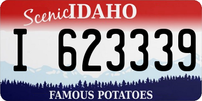 ID license plate I623339