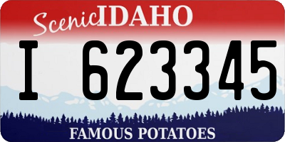 ID license plate I623345