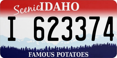 ID license plate I623374