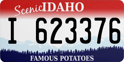 ID license plate I623376
