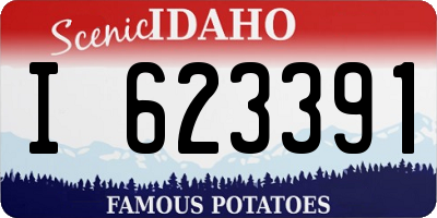 ID license plate I623391
