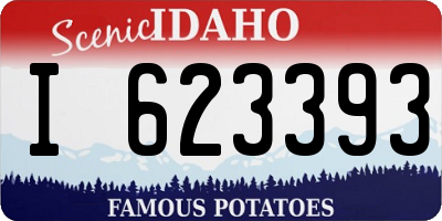 ID license plate I623393