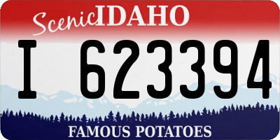 ID license plate I623394