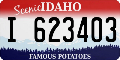 ID license plate I623403