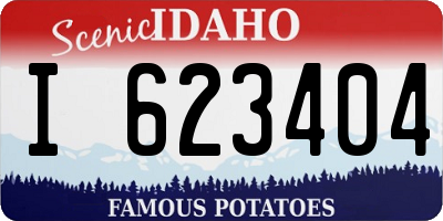 ID license plate I623404