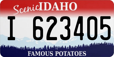 ID license plate I623405