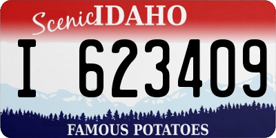 ID license plate I623409