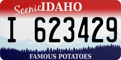 ID license plate I623429