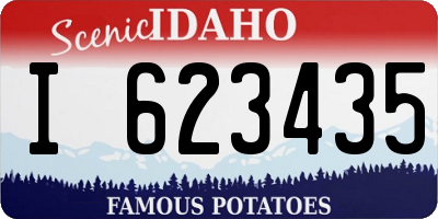 ID license plate I623435