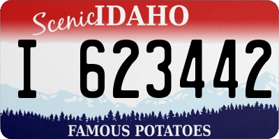ID license plate I623442