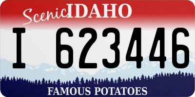 ID license plate I623446