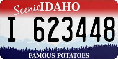 ID license plate I623448