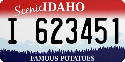 ID license plate I623451