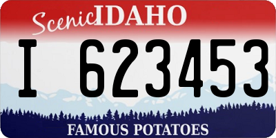 ID license plate I623453