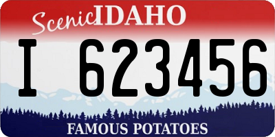 ID license plate I623456