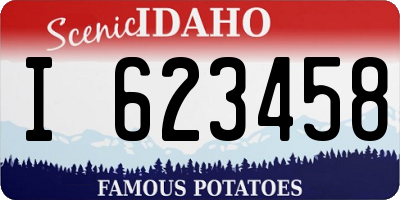 ID license plate I623458