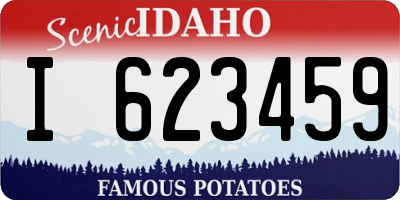 ID license plate I623459