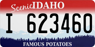 ID license plate I623460