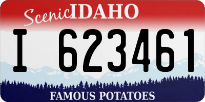 ID license plate I623461