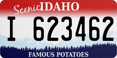 ID license plate I623462