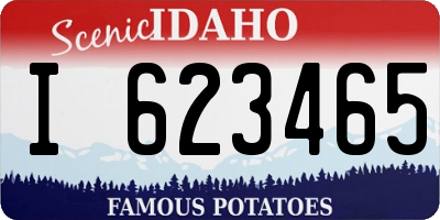 ID license plate I623465