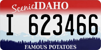 ID license plate I623466