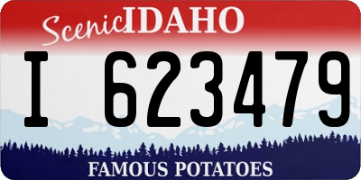 ID license plate I623479