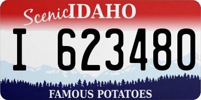 ID license plate I623480