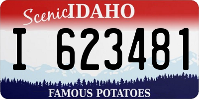 ID license plate I623481